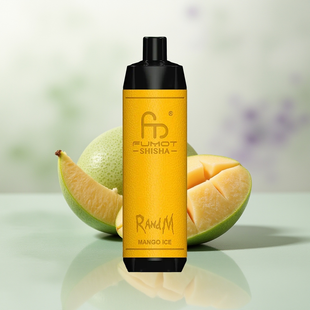 Wholesale Pakistan RandM Fumot Shisha 10000 Puffs Disposable Vape Mango Ice 5mg/ml Nicotine Contain