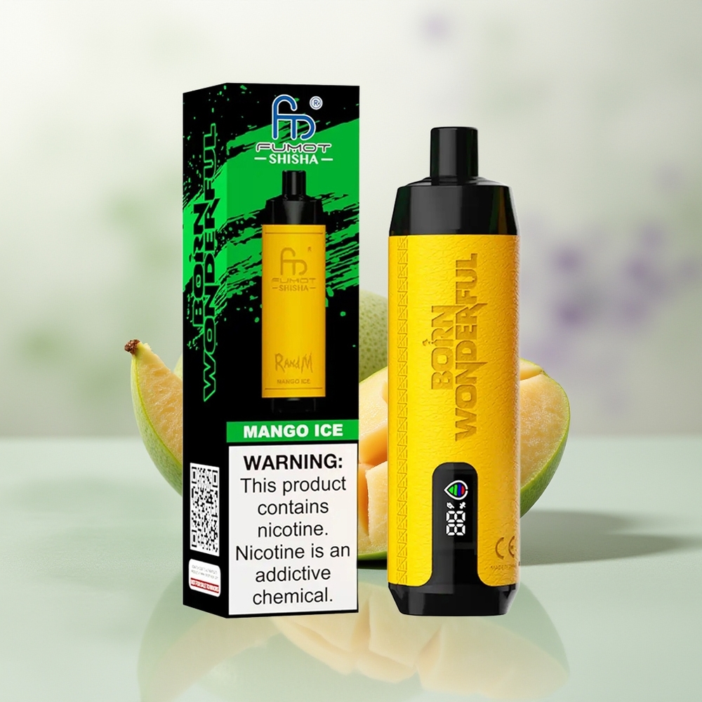 Wholesale Pakistan RandM Fumot Shisha 10000 Puffs Disposable Vape Mango Ice 5mg/ml Nicotine Contain
