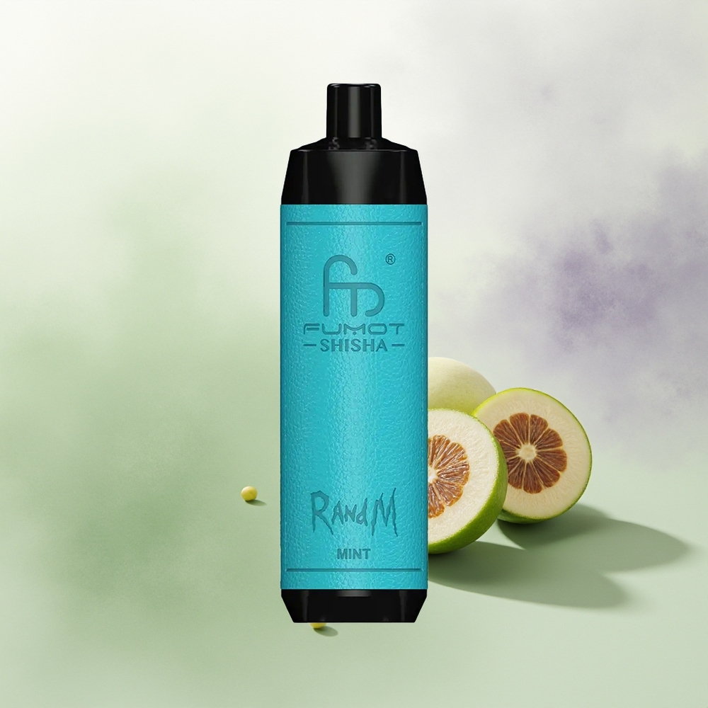 Wholesale Pakistan RandM Fumot Shisha 10000 Puffs Disposable Vape Mint 5mg/ml Nicotine Contain