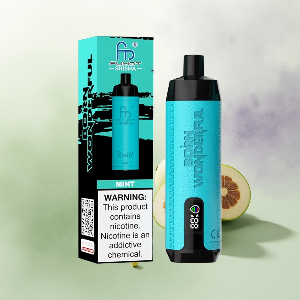 Wholesale Pakistan RandM Fumot Shisha 10000 Puffs Disposable Vape Mint 5mg/ml Nicotine Contain
