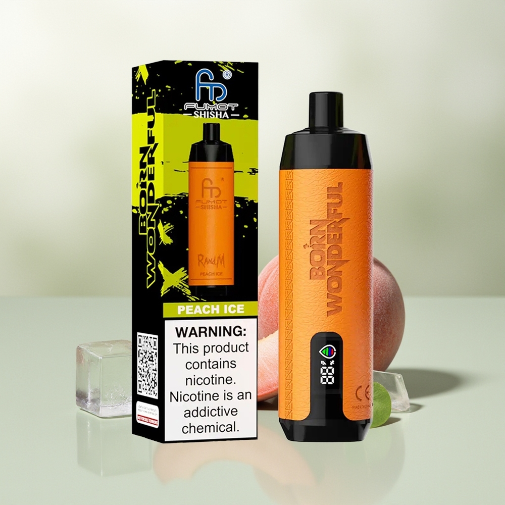 Wholesale Pakistan RandM Fumot Shisha 10000 Puffs Disposable Vape Peach Ice 5mg/ml Nicotine Contain