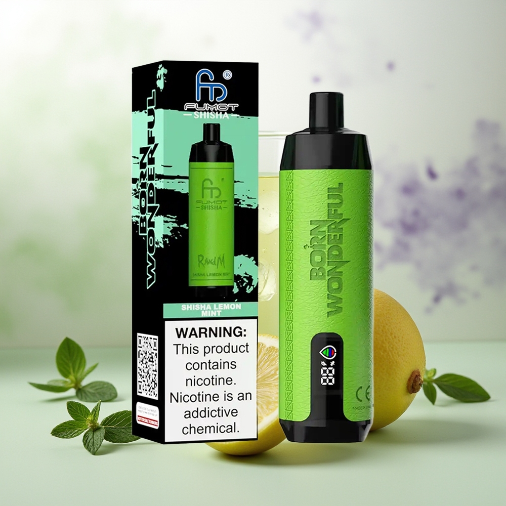 Wholesale Pakistan RandM Fumot Shisha 10000 Puffs Disposable Vape Shisha Lemon Mint 5mg/ml Nicotine Contain
