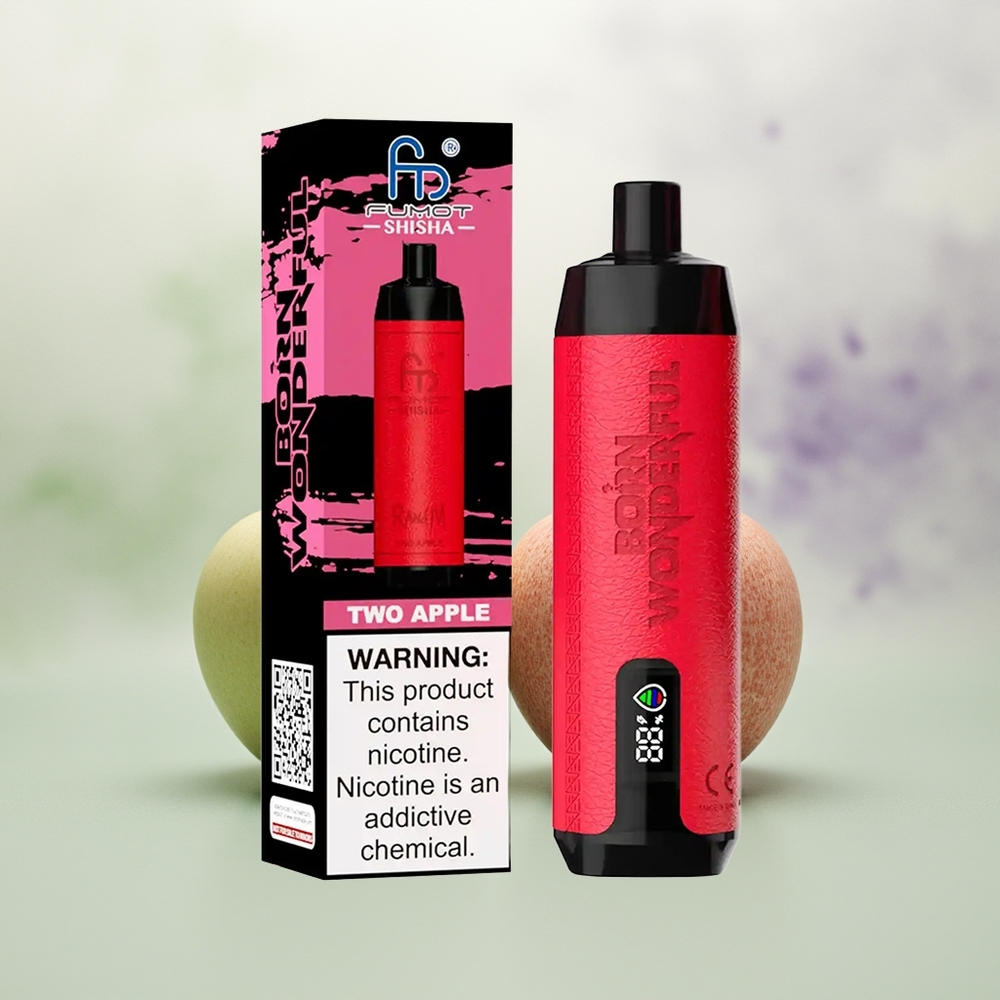Wholesale Pakistan RandM Fumot Shisha 10000 Puffs Disposable Vape Two Apple 5mg/ml Nicotine Contain