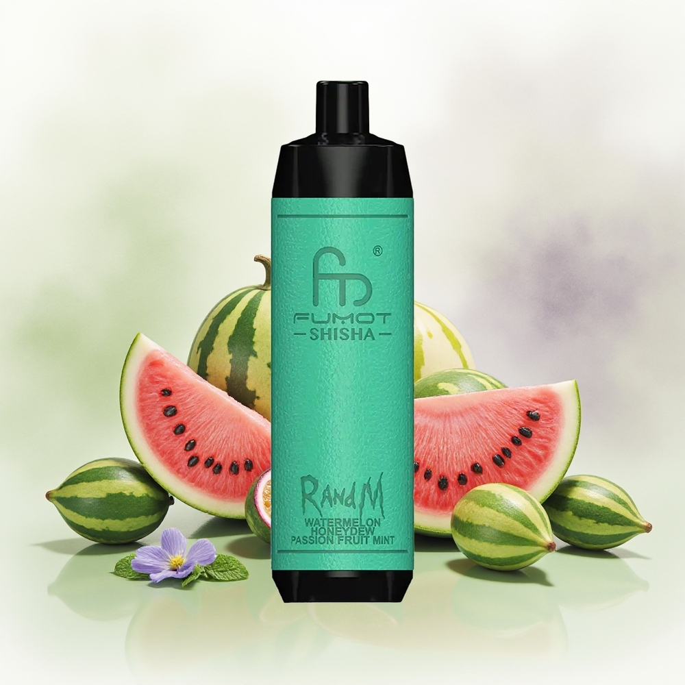 Wholesale Pakistan RandM Fumot Shisha 10000 Puffs Disposable Vape Watermelon Honeydew Passion Fruit Mint 5mg/ml Nicotine Contain