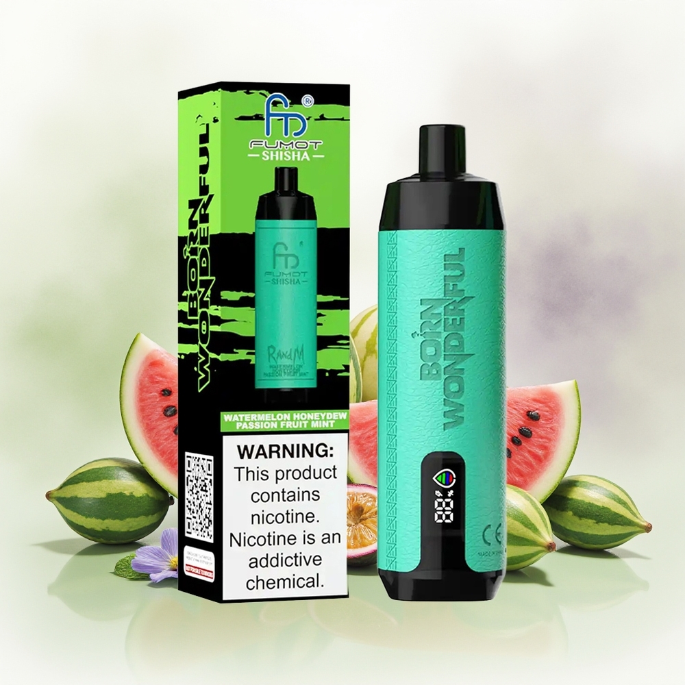 Wholesale Pakistan RandM Fumot Shisha 10000 Puffs Disposable Vape Watermelon Honeydew Passion Fruit Mint 5mg/ml Nicotine Contain