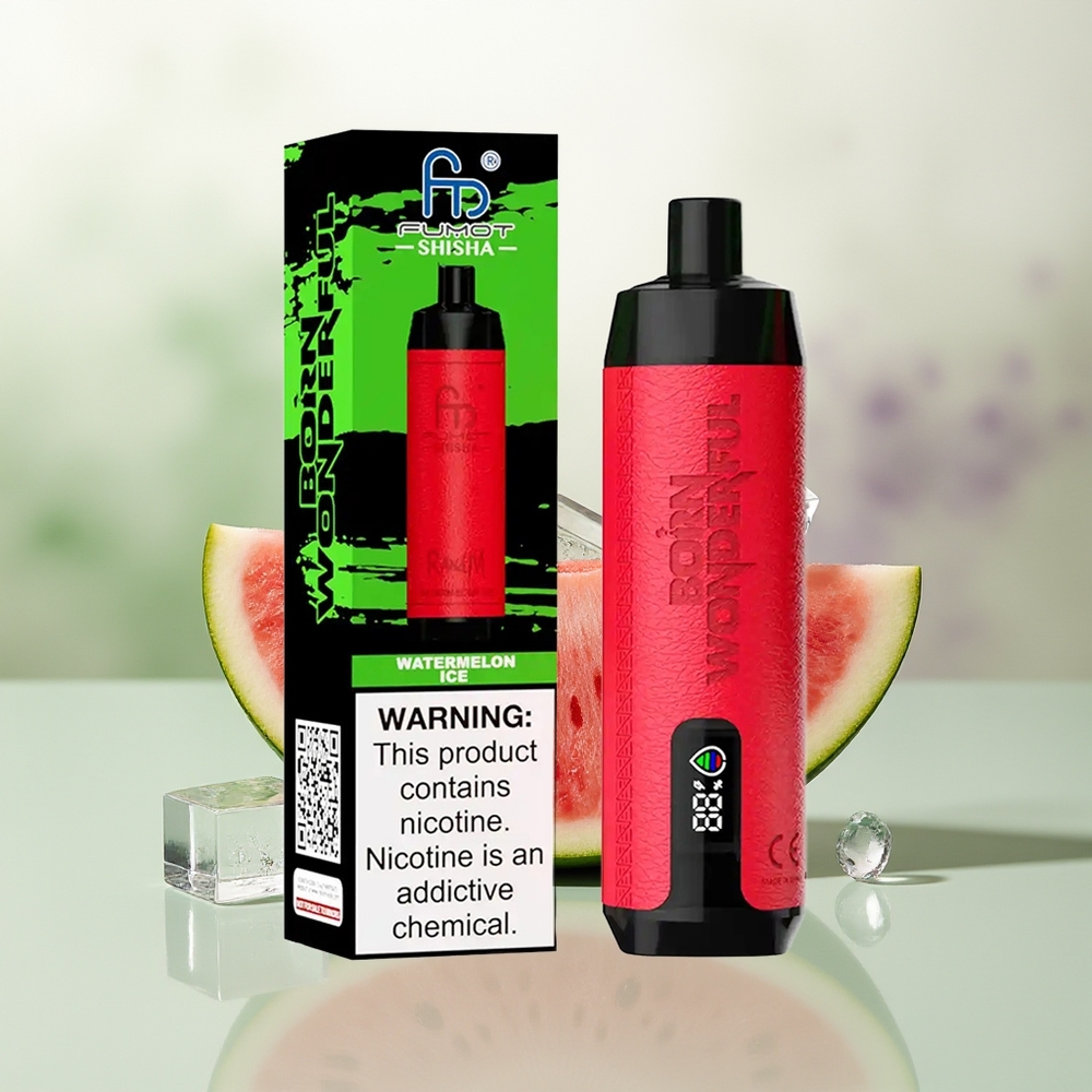 Wholesale Pakistan RandM Fumot Shisha 10000 Puffs Disposable Vape Watermelon Ice 5mg/ml Nicotine Contain