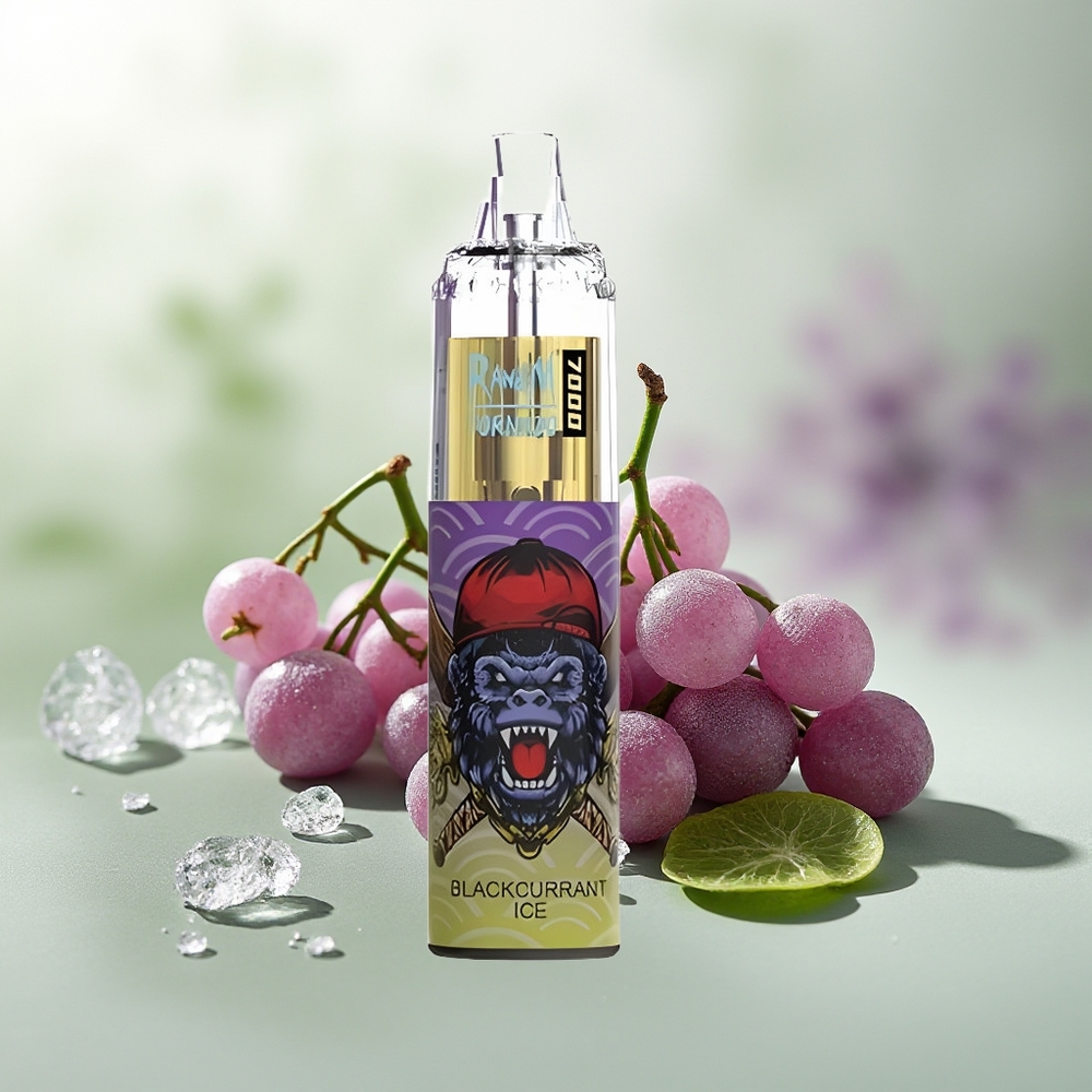 Wholesale Pakistan RandM Fumot Tornado 7000 Puffs Disposable Vape Blackcurrant Ice 0%,2%,3%,5% Nicotine Contain