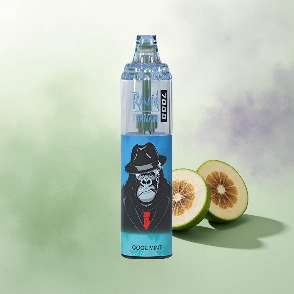 Wholesale Pakistan RandM Fumot Tornado 7000 Puffs Disposable Vape Cool Mint 0%,2%,3%,5% Nicotine Contain