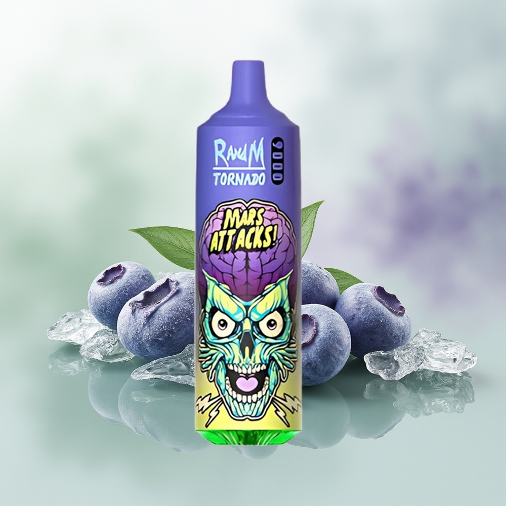 Wholesale Pakistan RandM Fumot Tornado 9000 Puffs Disposable Vape Blueberry Ice